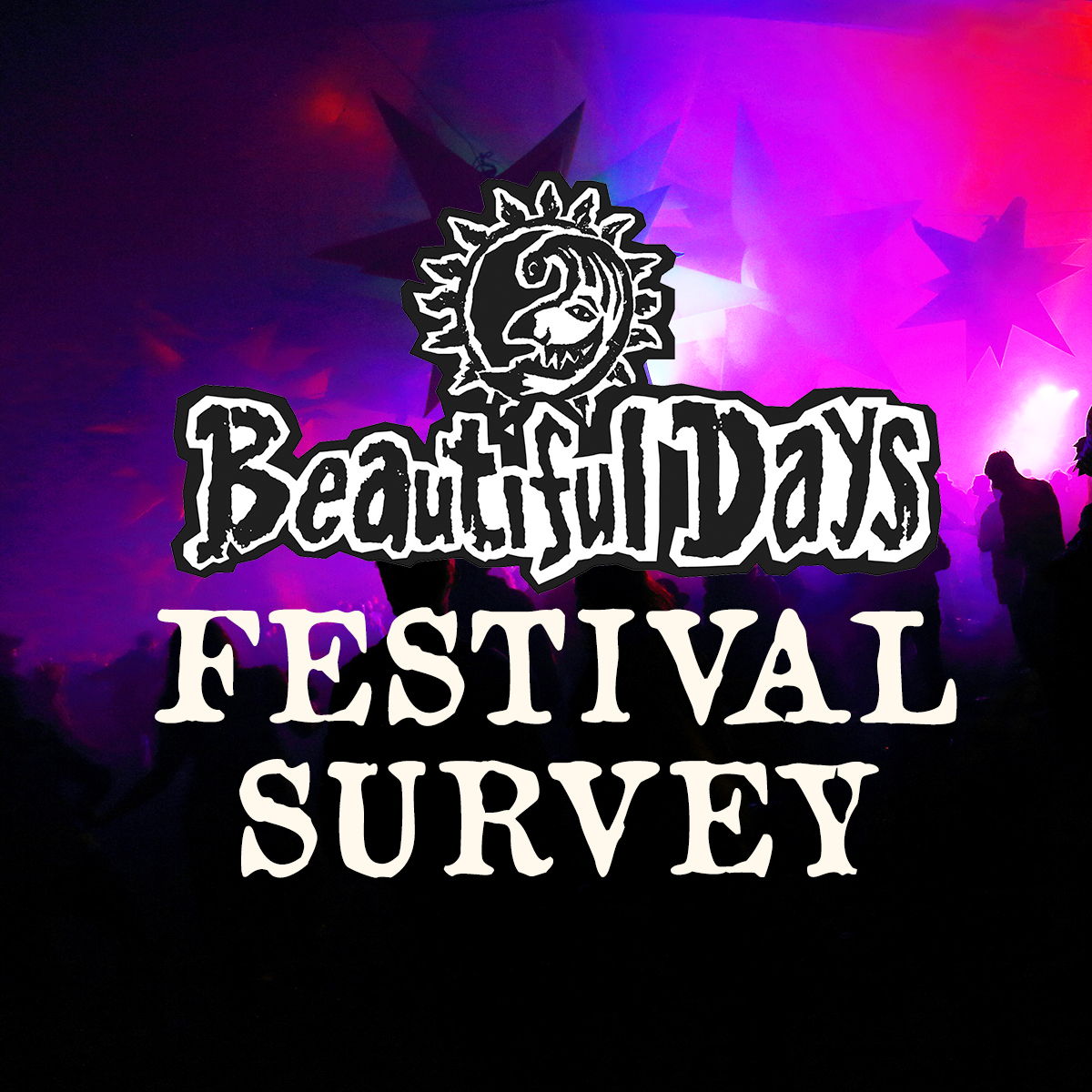 Festival Survey